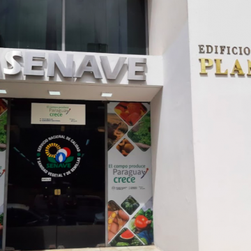 Allanan oficinas del Senave tras supuesta coima para otorgar permisos de importación