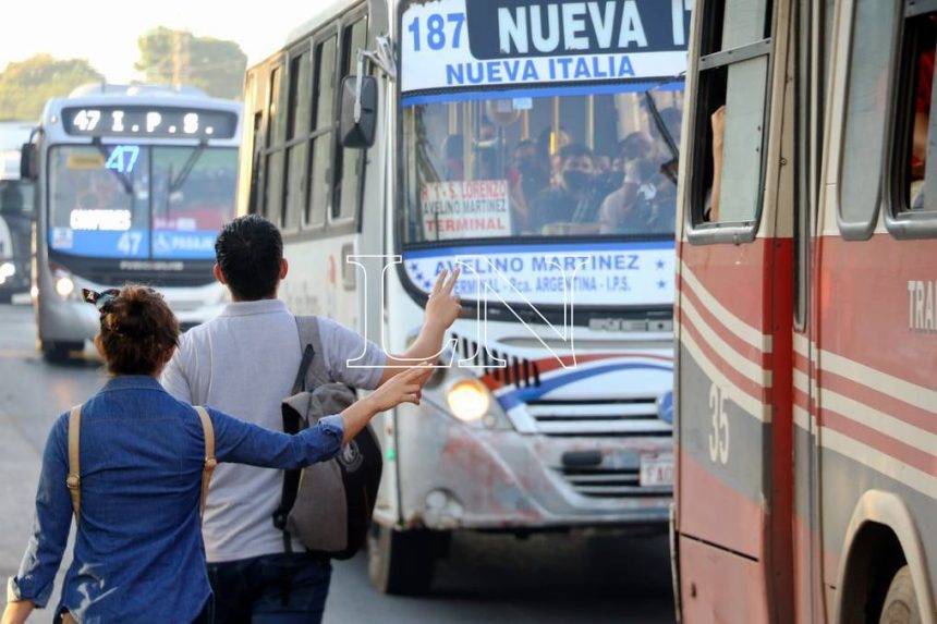 Presentan propuesta de ley que crea una empresa de transporte público