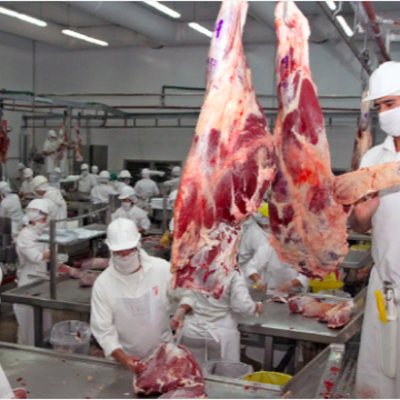 Exportaciones de carne superan los USD 470 millones en cuatro meses