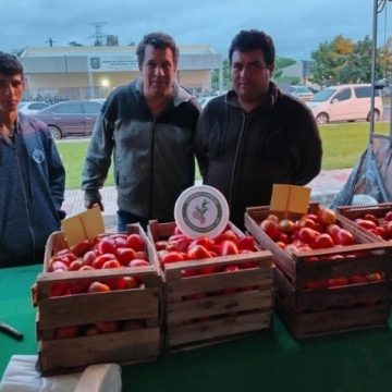 Venden productos frutihortícolas sin intermediarios en ferias de la Agricultura Familiar