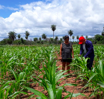 Ministro de Agricultura cree que se pueden mejorar precios a productores en finca