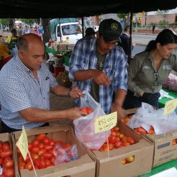 MAG anuncia suspensión de permisos para la importación de tomates