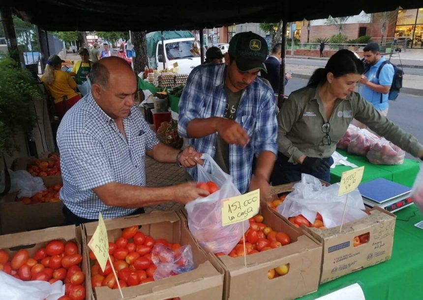 MAG anuncia suspensión de permisos para la importación de tomates