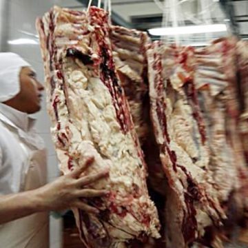 Primer cargamento de carne a Canadá partirá el viernes