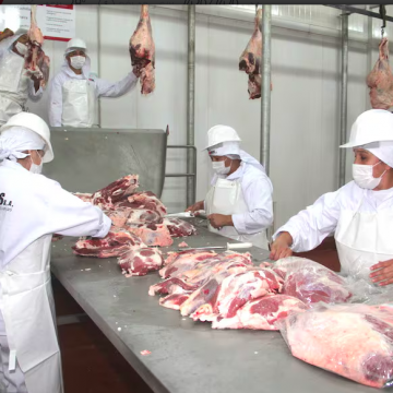 Chile fue el principal destino de la carne bovina paraguaya al cierre de junio