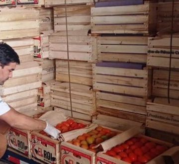 Incautan más de 40 toneladas de tomate de contrabando