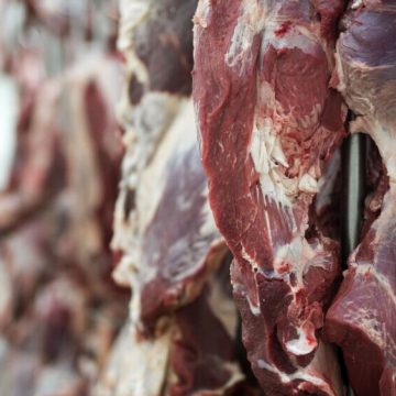 Carne y soja siguen en aumento y aglutinan 50% de ingresos