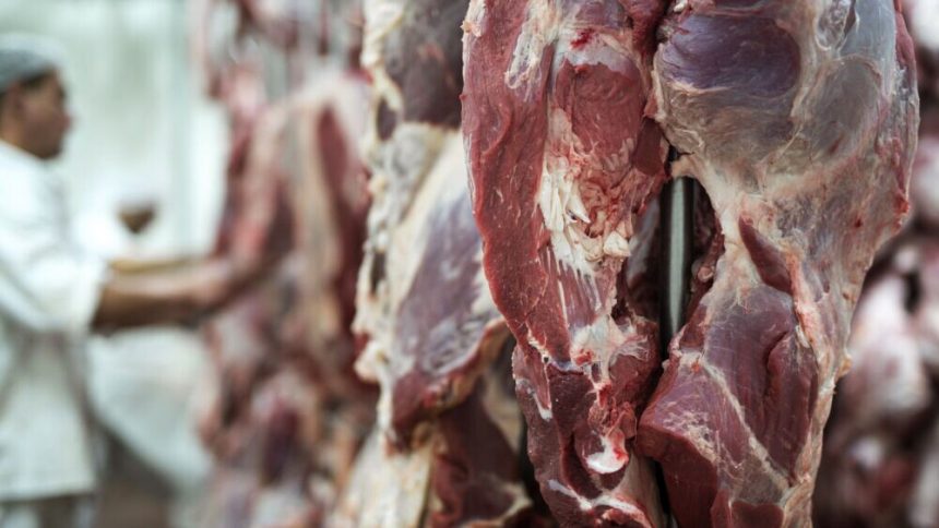 Carne y soja siguen en aumento y aglutinan 50% de ingresos