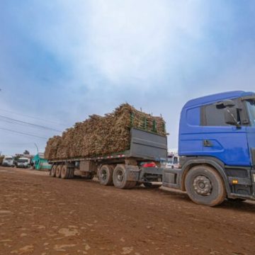 Zafra cañera inyectará US$ 15 millones a los departamentos de Guairá y Caaguazú