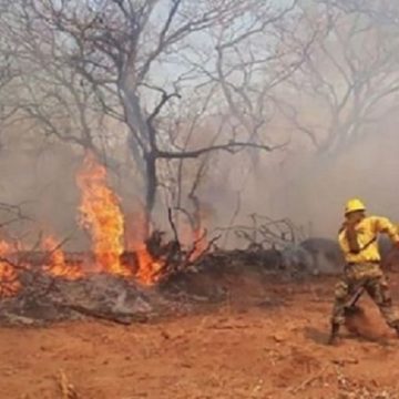 Fuego ingresó al Cerro Chovoreca, más de 178.000 hectáreas consumidas en la reserva