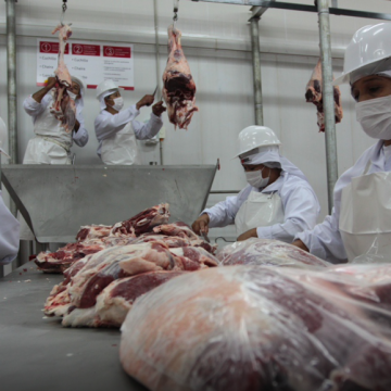 Técnicos de Taiwán realizarán visita a frigoríficos paraguayos buscando ampliar importación de carne bovina, porcina y aviar